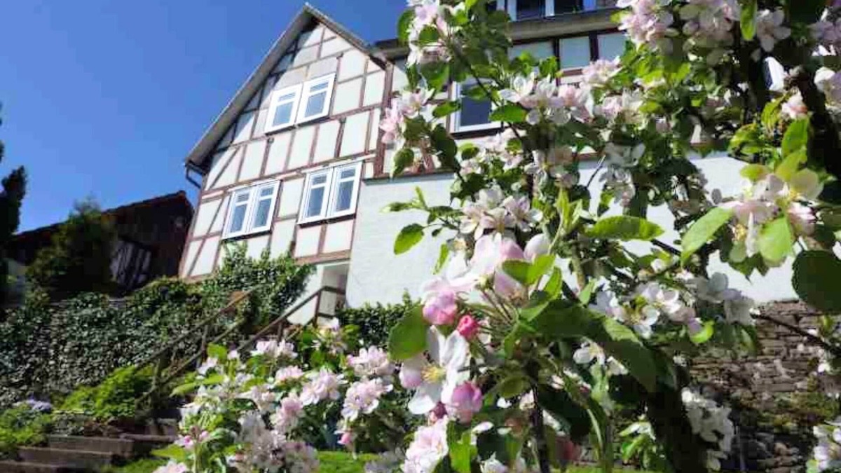 Battenberg Apartment | Wohnung in der Nähe des Skigebietes Battenberg