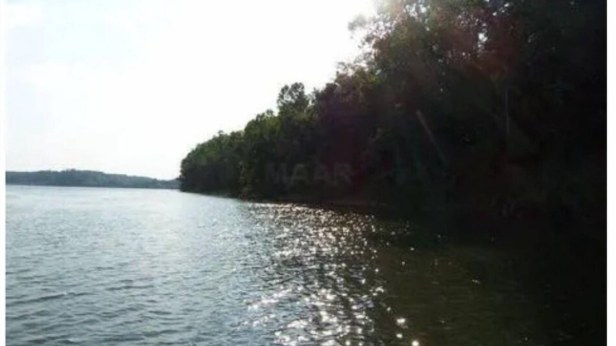 Morris Chapel Resort | Wolf Island is a 214 Acre Private Island resort with almost 2 mi privatebeaches