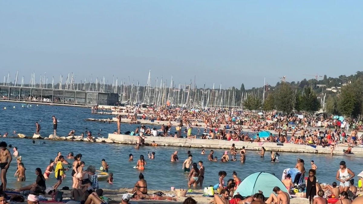 Les Eaux-Vives Condo | Wonderful apartment in the middle of the city 5 minutes walk from the lake