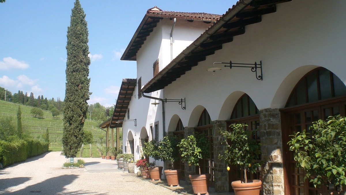 Manzano Other | wonderful area in the middle of the vineyards where you can relax and taste wine
