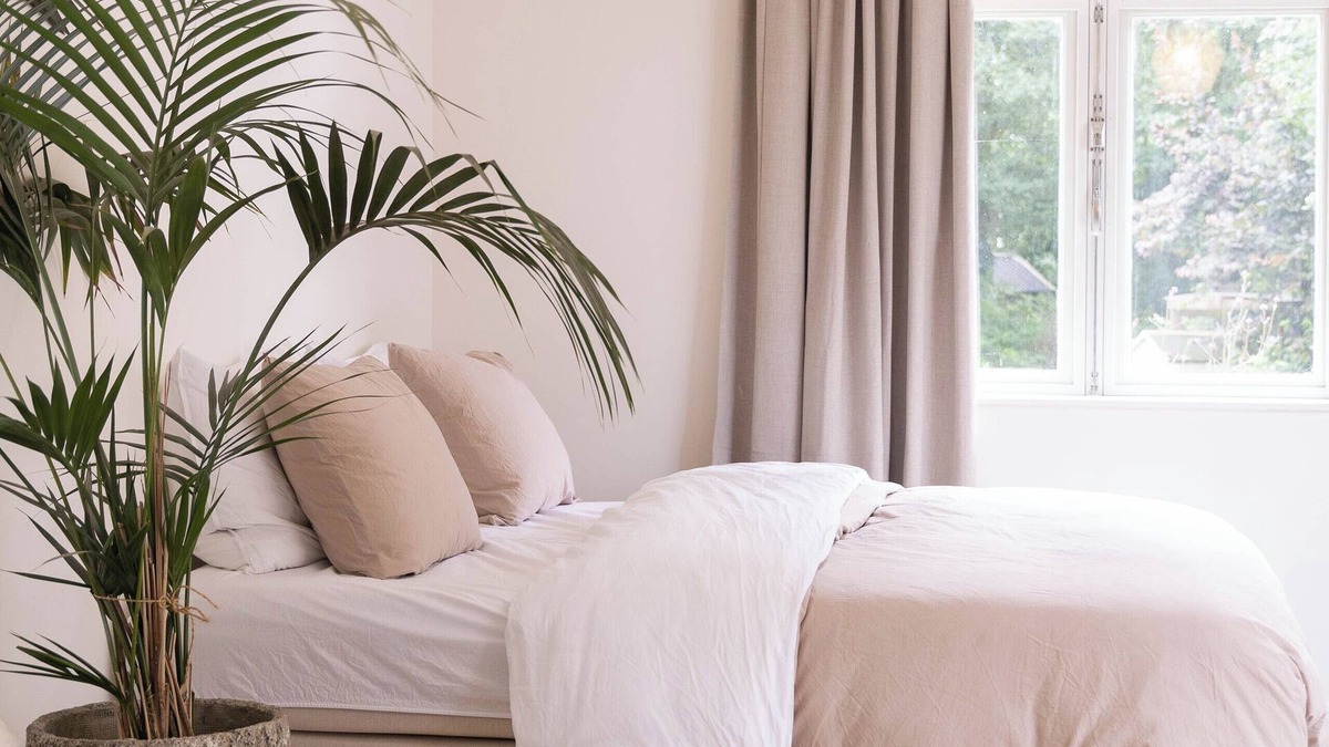 Oude Niedorp Bed & Breakfast | Wonderful bed & breakfast with WiFi in Oude Niedorp