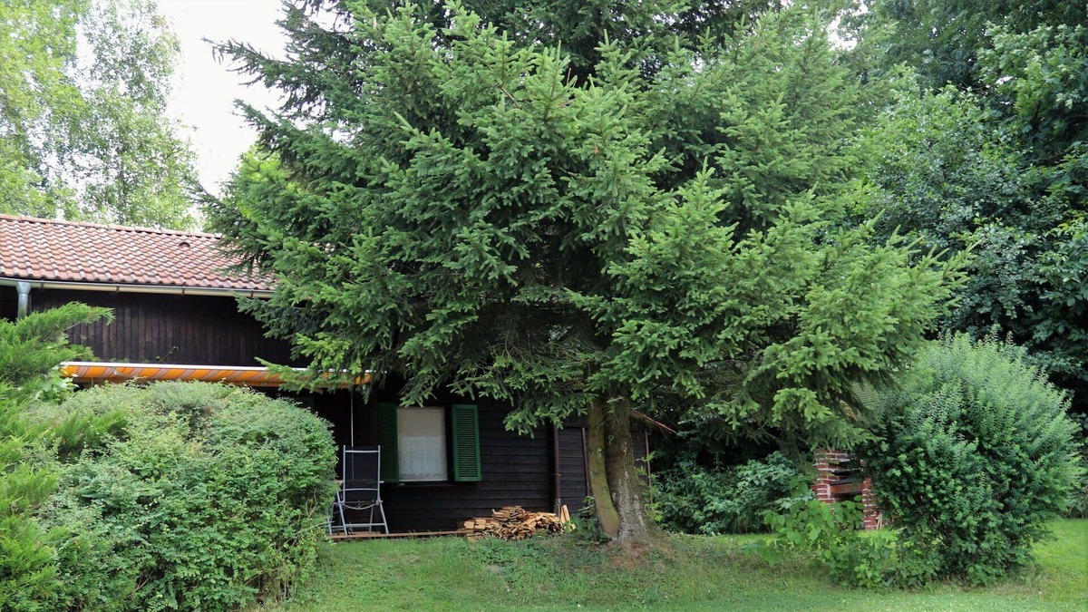 Frankenburg House | Wonderful private villa for 4 guests with WIFI, TV, patio, pets allowed and parking
