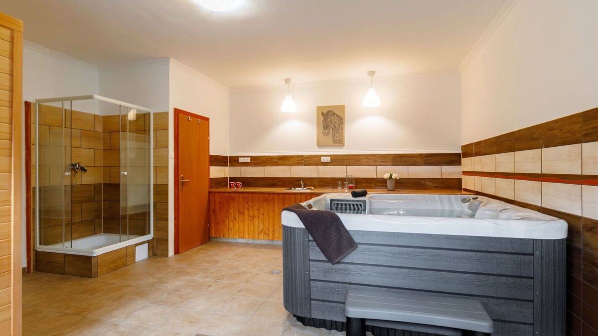 Balatonfenyves House | Wonderful private villa for 12 people with private pool, hot tub, TV, terrace and parking