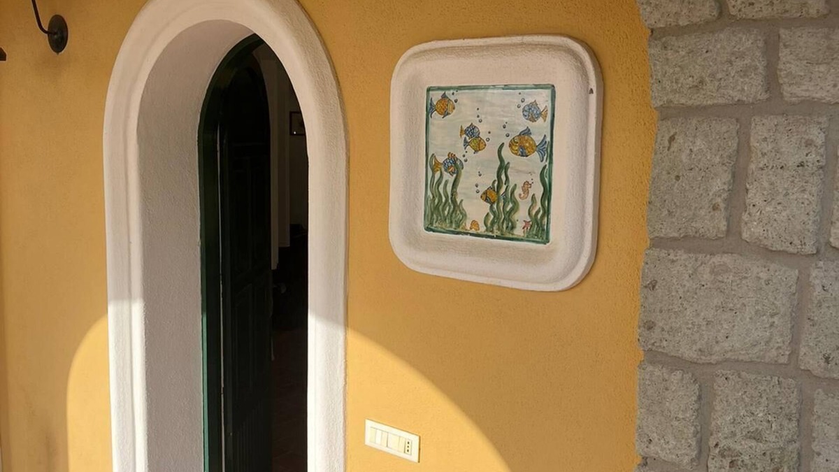 Forio Apartment | Wonderful Villa with sea view in Forio d'Ischia surrounded by Nature
