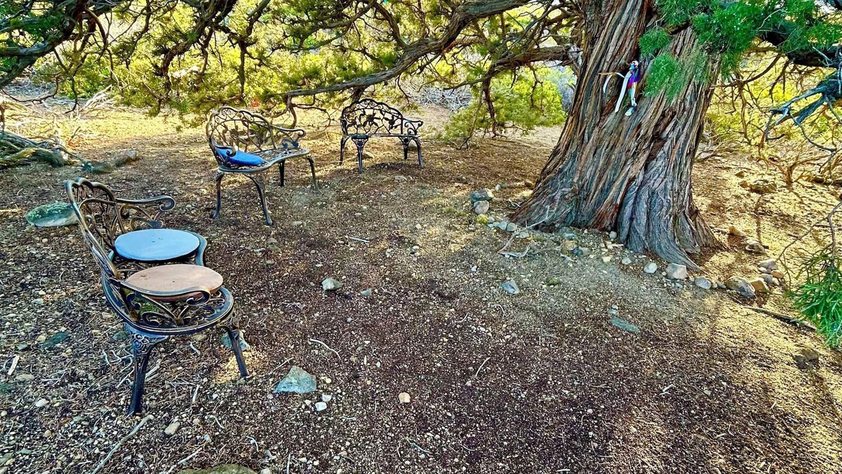 Weed House | Wonderland Retreat House at the Base of Mount Shasta