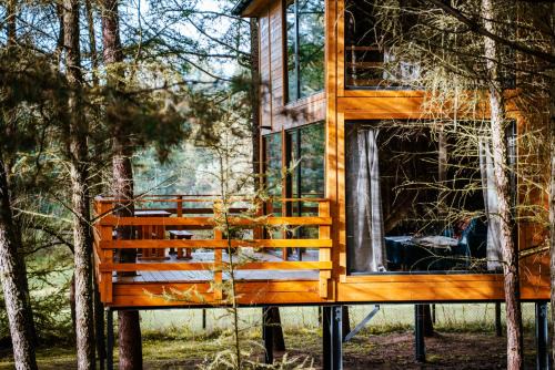 gmina Popow Apartment | Wood Land Liswarta domki w drzewach