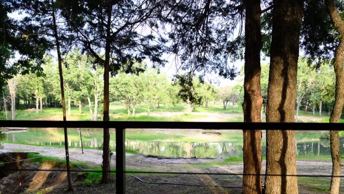 Alvord Cabin | Wooded Cabin w/Pond View near LBJ Grasslands - Book 1 or All 4 Cabins