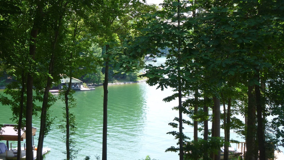 High Point House | Wooded Lakeside Retreat in a Quiet Cove.