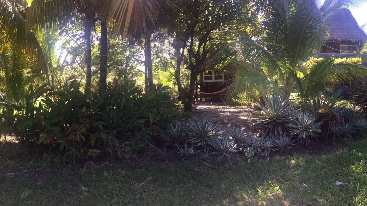 Puerto Barrios House | Wooden cabin in front of beach , bedroom for 2 , private bathroom , barbecue .