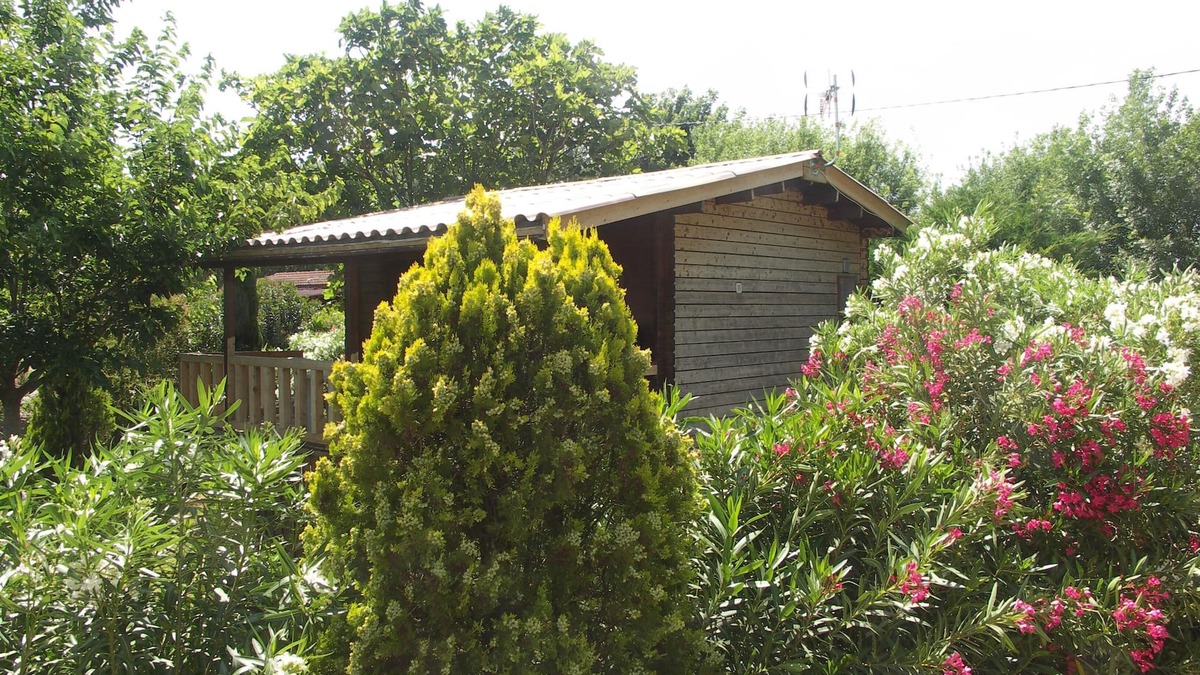 Roquebrune-sur-Argens House | Wooden chalet with large terrace