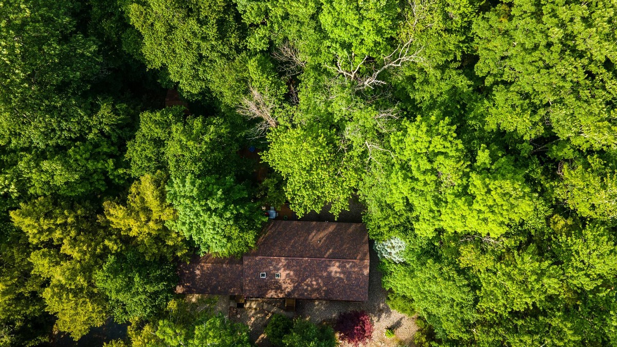 Rock Hill House | Wooden Paradise in Catskills!
