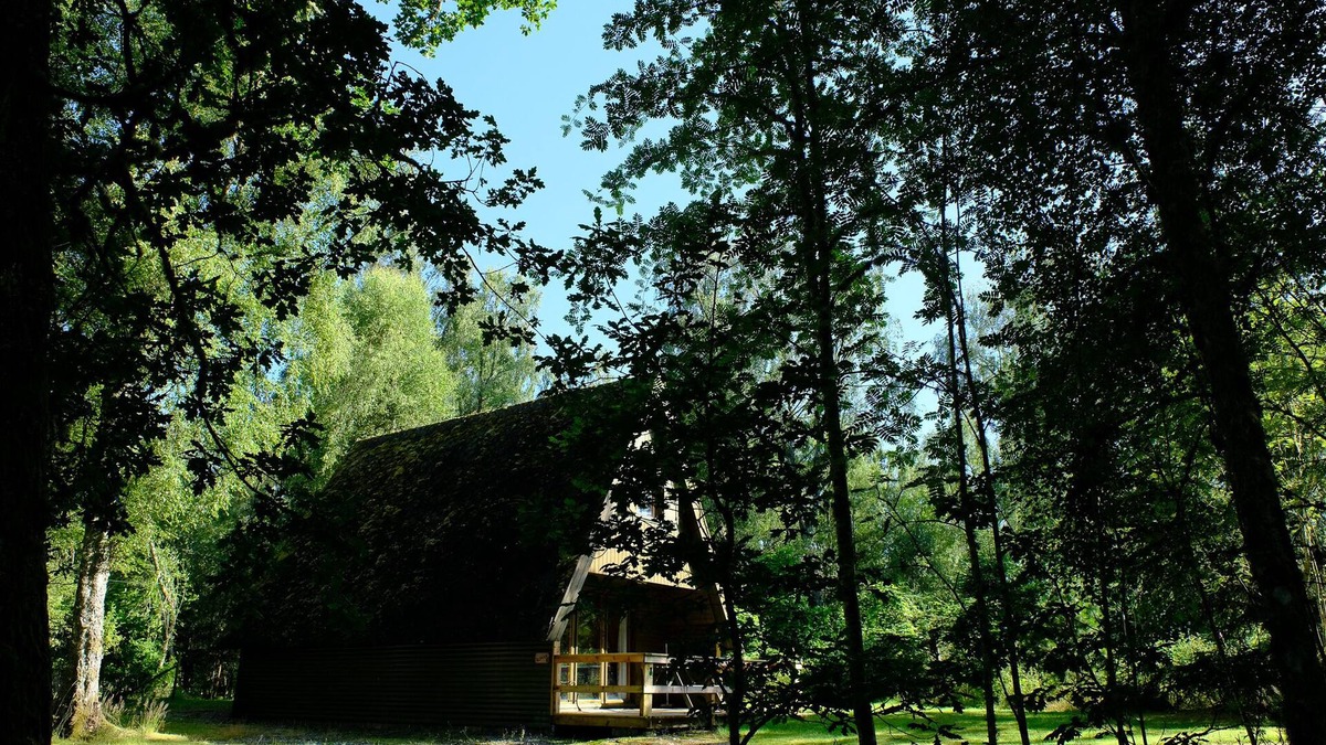 Cannich Ski Chalet | Woodland cottage nestled in woods on the banks of a glorious Highland River