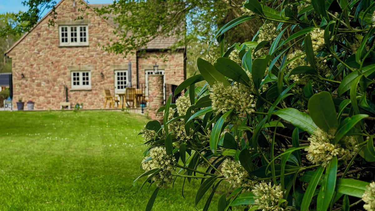 Coleford Cottage | Woodland edge retreat, with wood burning stove.