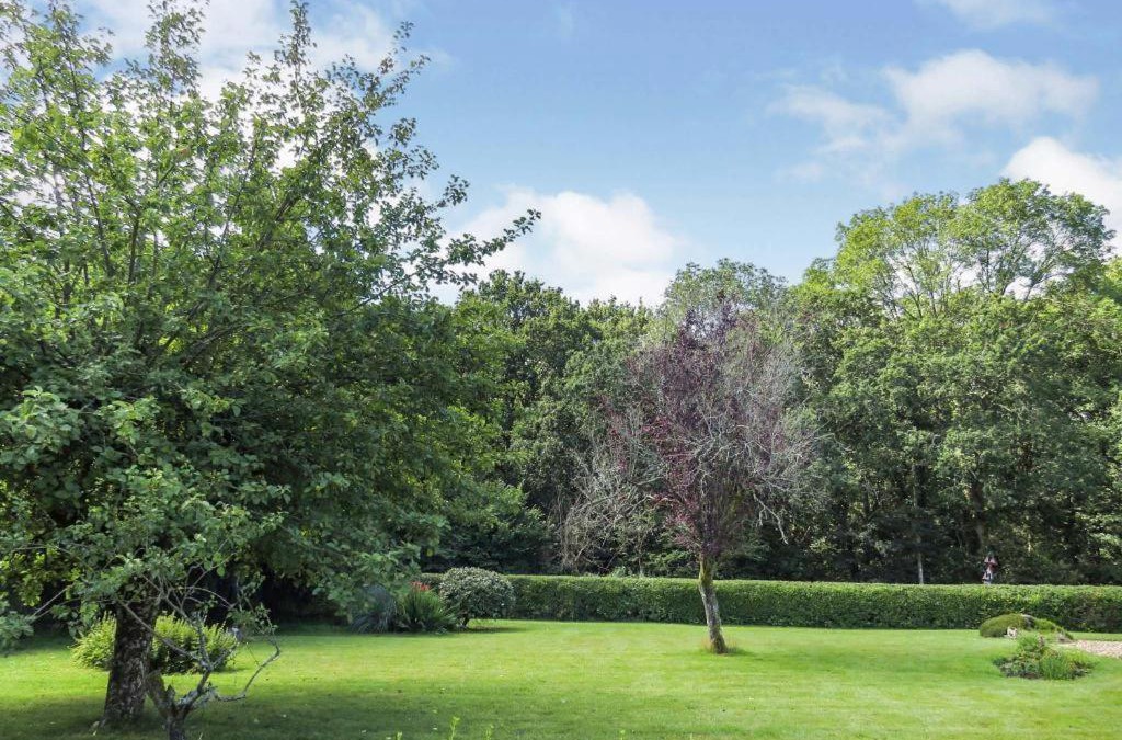 Horton Bed & Breakfast | Woodland House B & B