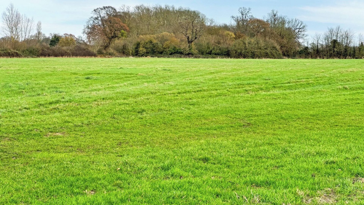 Rochford Cottage | Woodland House - UK48581