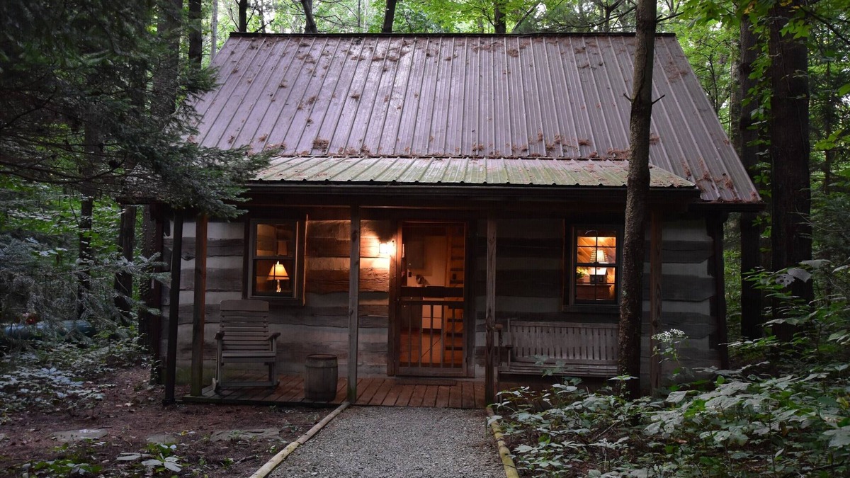 Laurelville Cabin | Woodland view-Blue Log Cabin