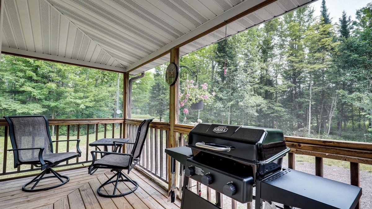 Pelkie Apartment | Woodsy & Charming! Tiny Haven w/Yard in Pelkie