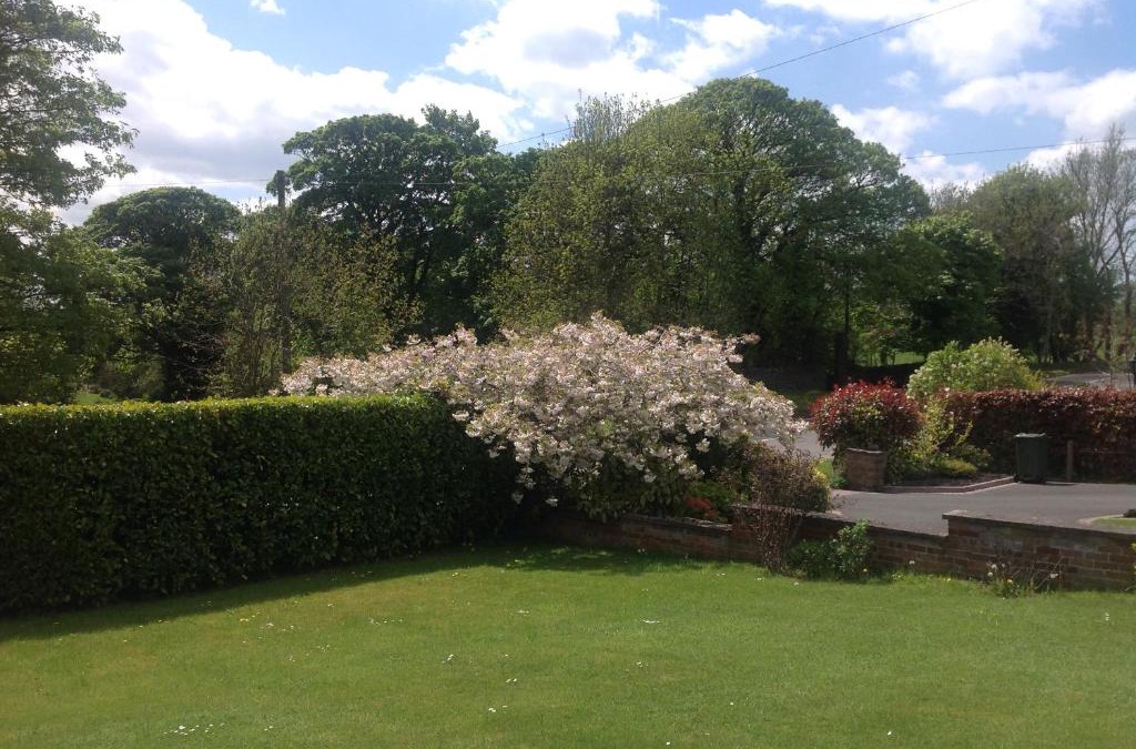 Cutthorpe House | Woodview Lodge