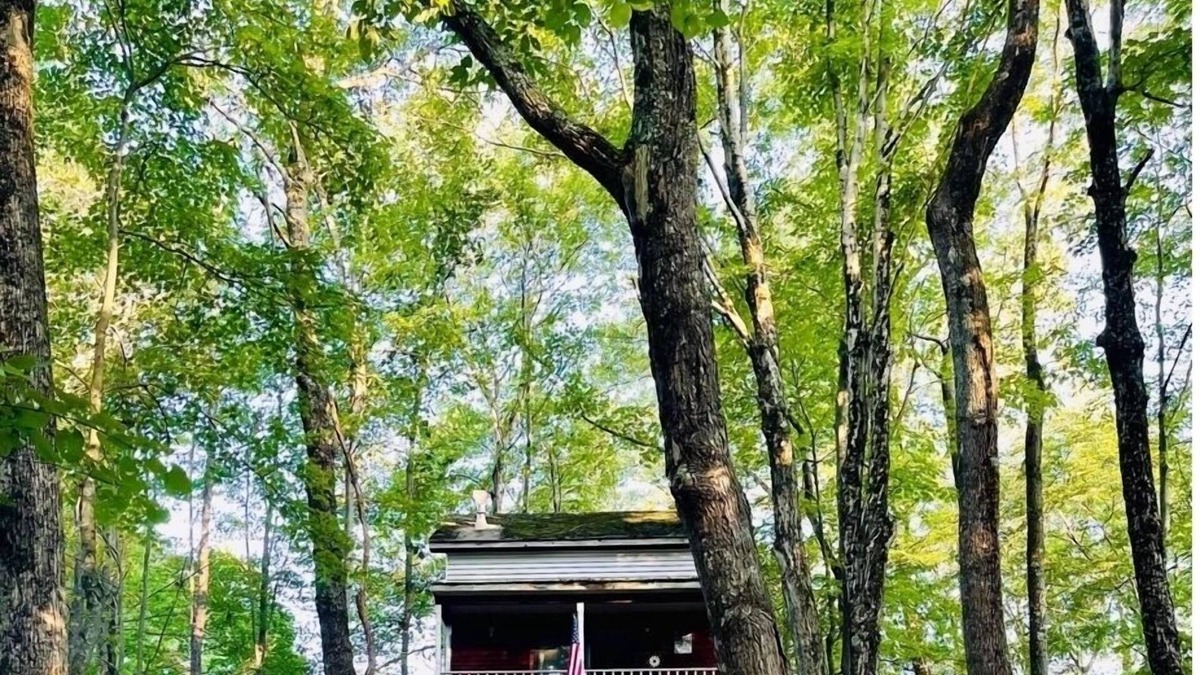 Adrian Cabin | Woody’s Treehouse Hideaway In French Creek,W.Va great deer hunting