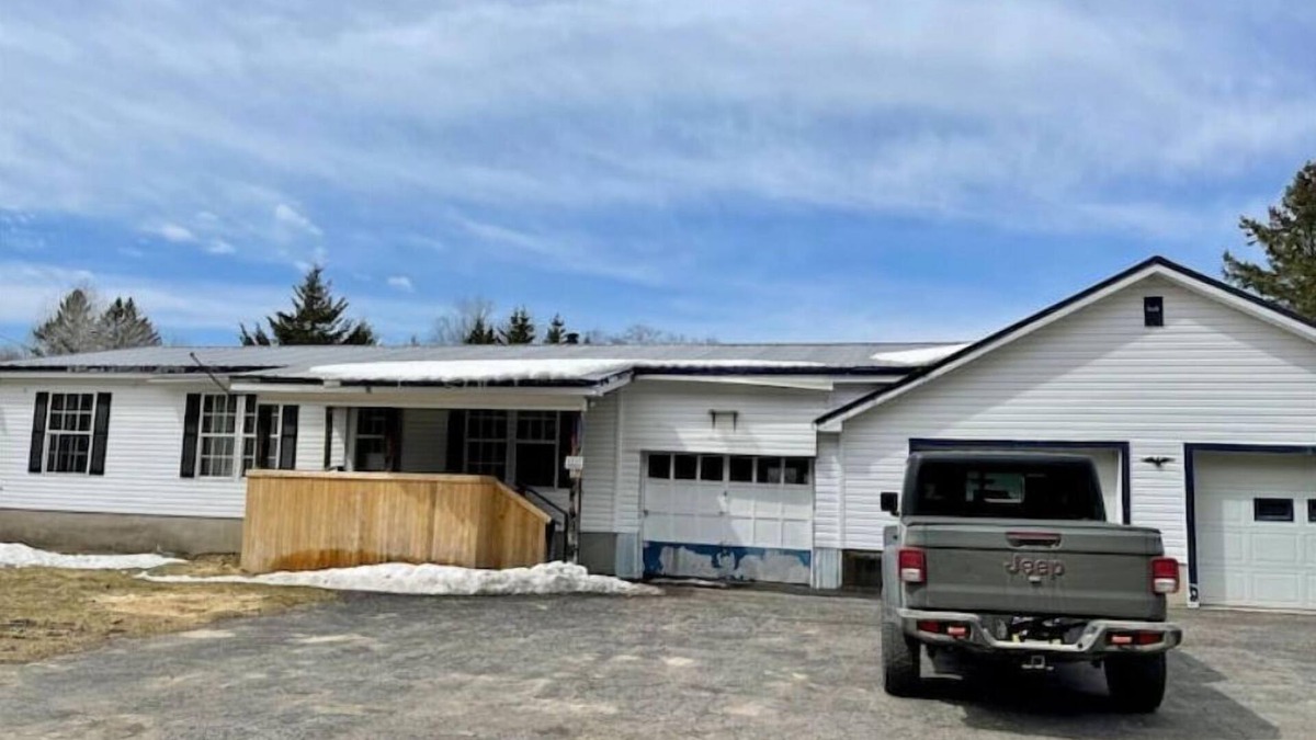 Lewis County House | Woof pack shack #1
