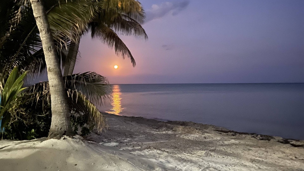 Marathon House | World class ocean views on a sugar sand beach!