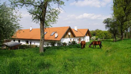 Kirchstetten Apartment | wundervoll eben - CHALETS & PLÄTZE voller WUNDER - NOTSCHKERL & FEINIS