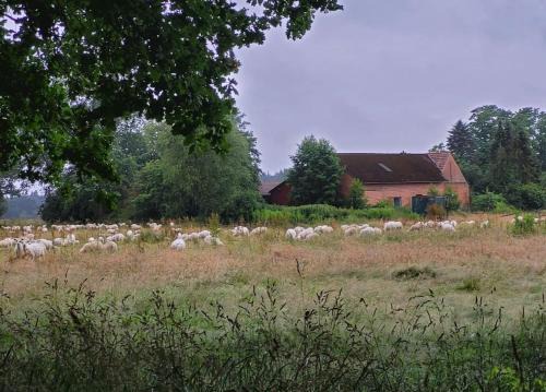 Rotenburg Apartment | Wunschhof the dreaming farmhouse