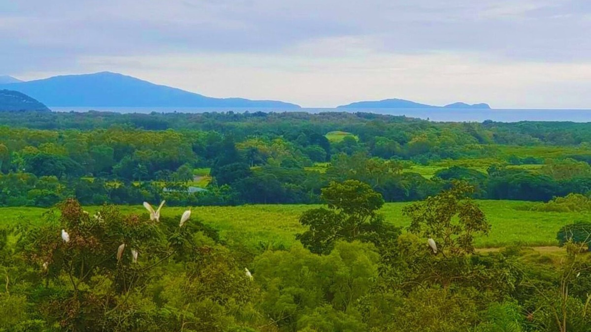 Mowbray House | WYBALENA Entire Private Home, Ocean and valley views Tropical Oasis Pool Garden