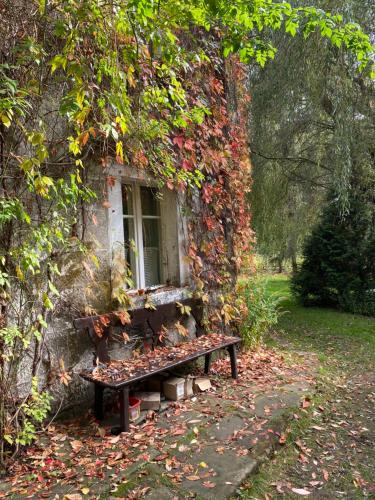 Radkow House | Wytchnienie