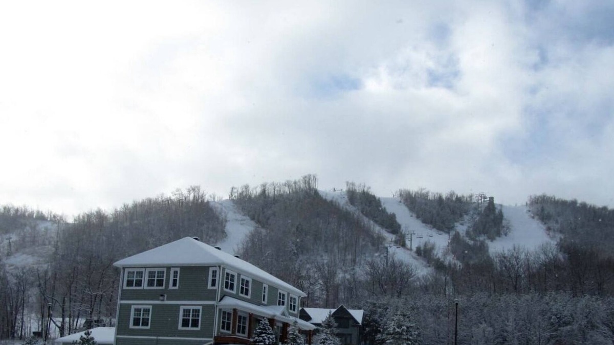 Craigleith Ski Chalet | XMAS + New years in Blue Mountain. Pet Friendly!