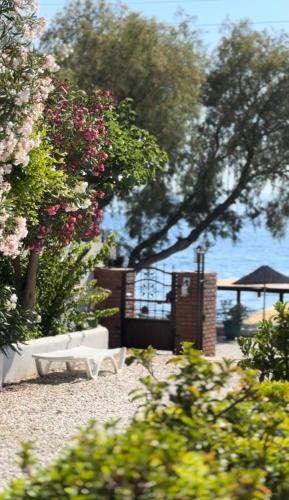 Yalikavak Bed & Breakfast | Yüksel Butik Hotel
