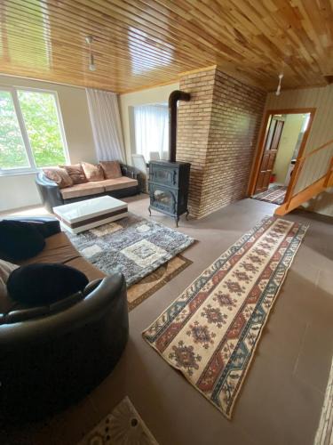 Borcka Villa | Yıldırımlar