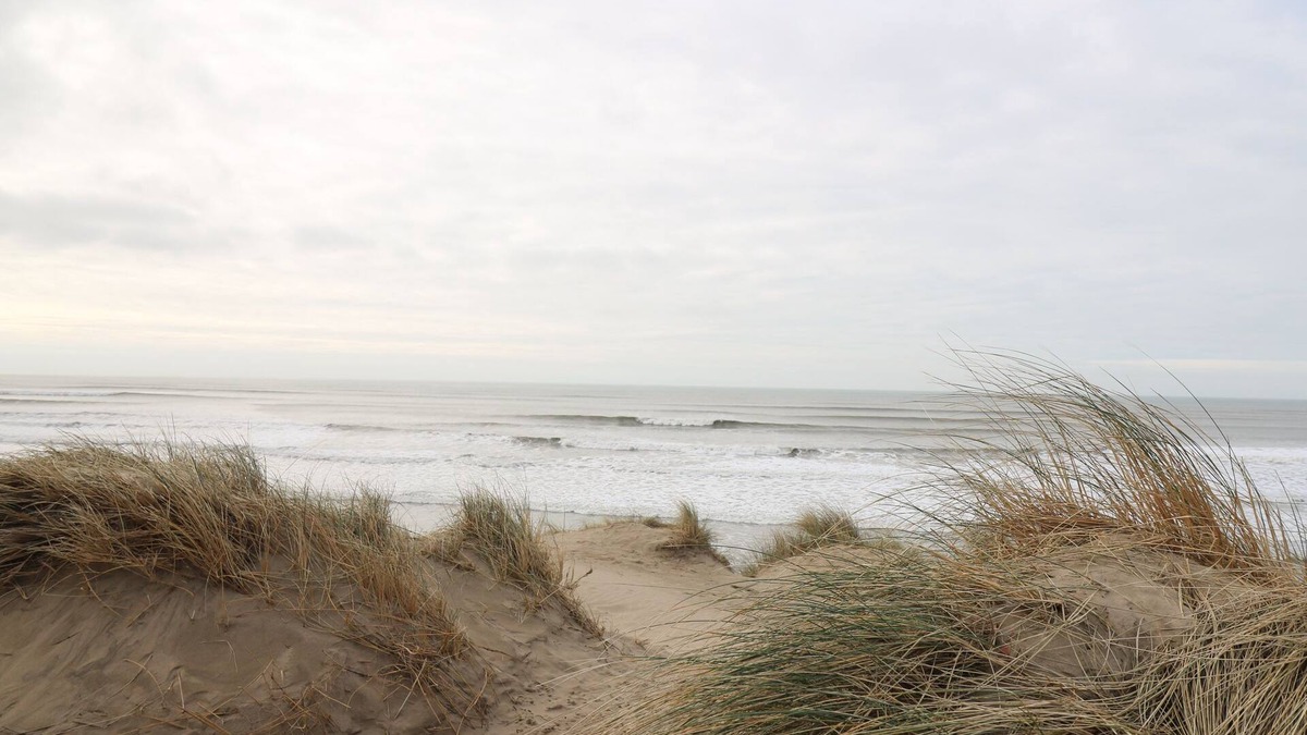 Borth Cottage | Y Felin - Moana