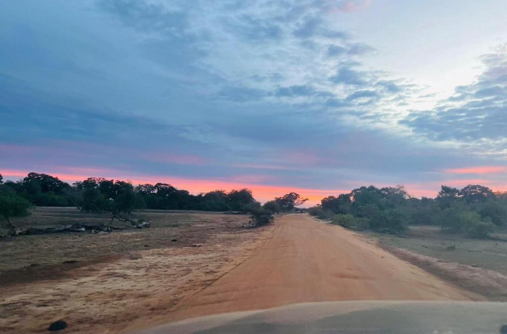 Palatupana Other | Yala Hotel Lion - Air conditioned Luxury Tented Safari Camp
