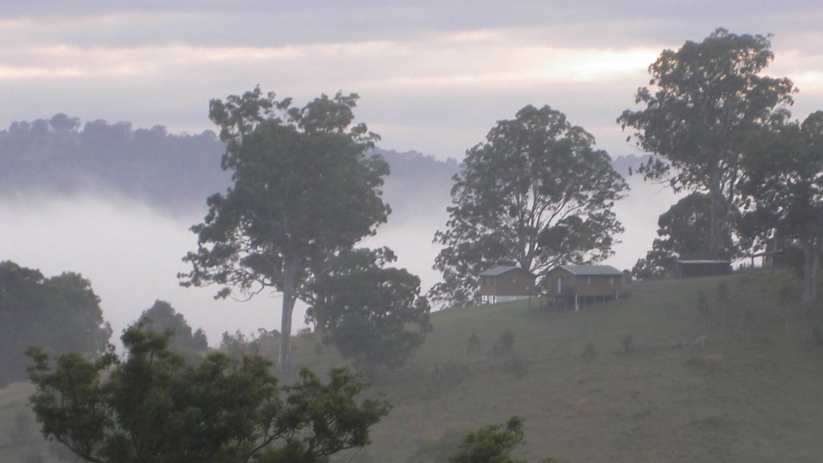 Brogo Cabin | Yasuragi Cabin 2 pet friendly bed and breakfast