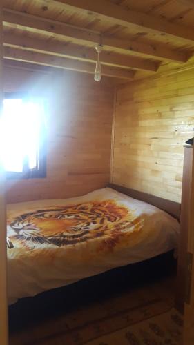 Hidirnebi Yaylasi Ski Chalet | Yeşilyurt dağ tesisi