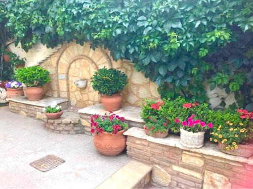 Nea Palatia Apartment | Yellow House Oropos