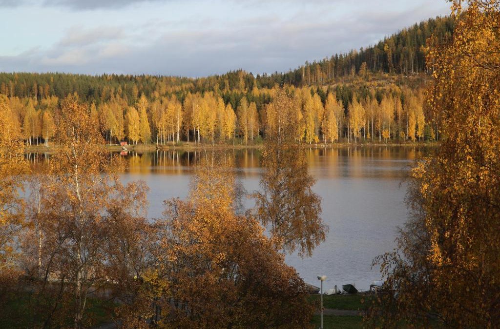 Aanekoski Apartment | Yksiö Järvimaisemalla
