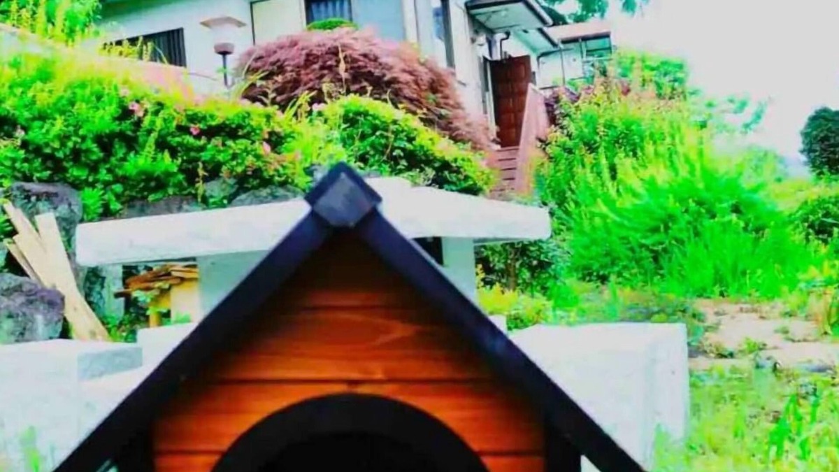 Miyakami House | You can stay with your dog Welcome to a house in - Whole house rental /Atami Shizuoka