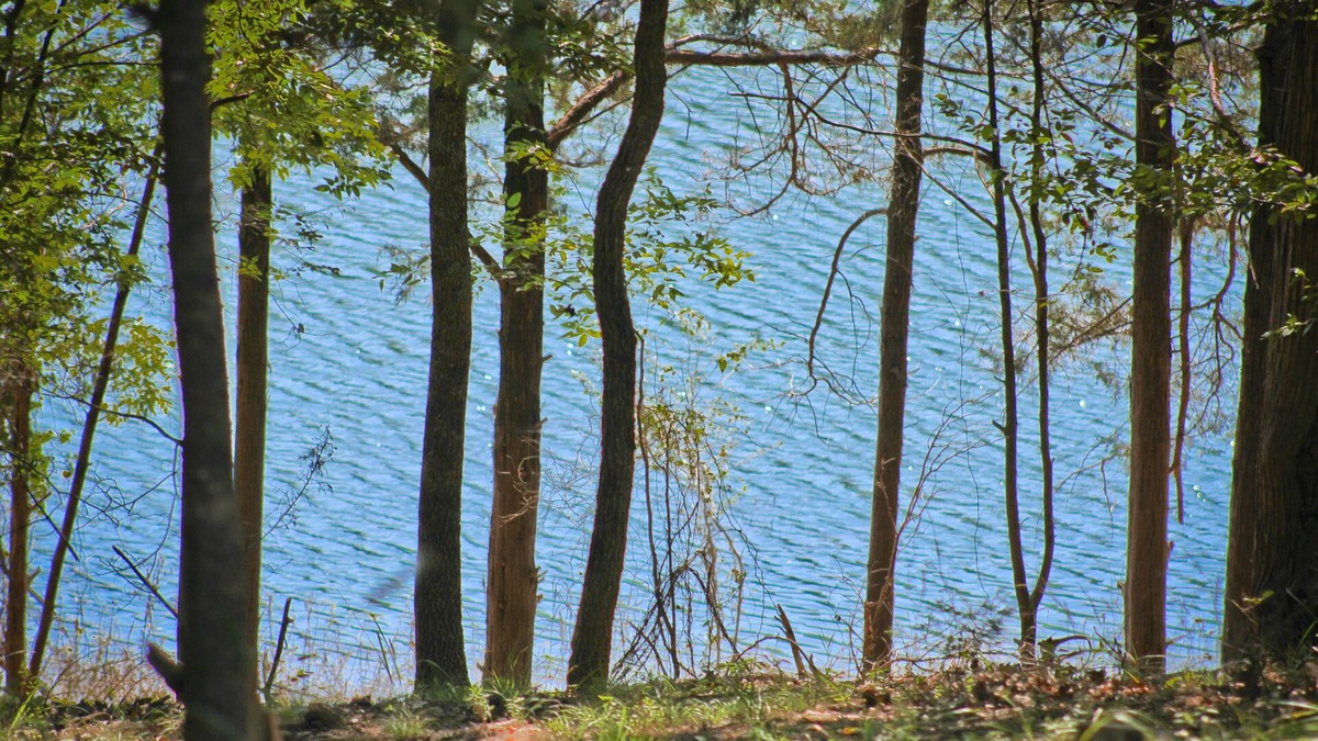 Yellville Cabin | You choose: Getaway, Gateway, or Both!