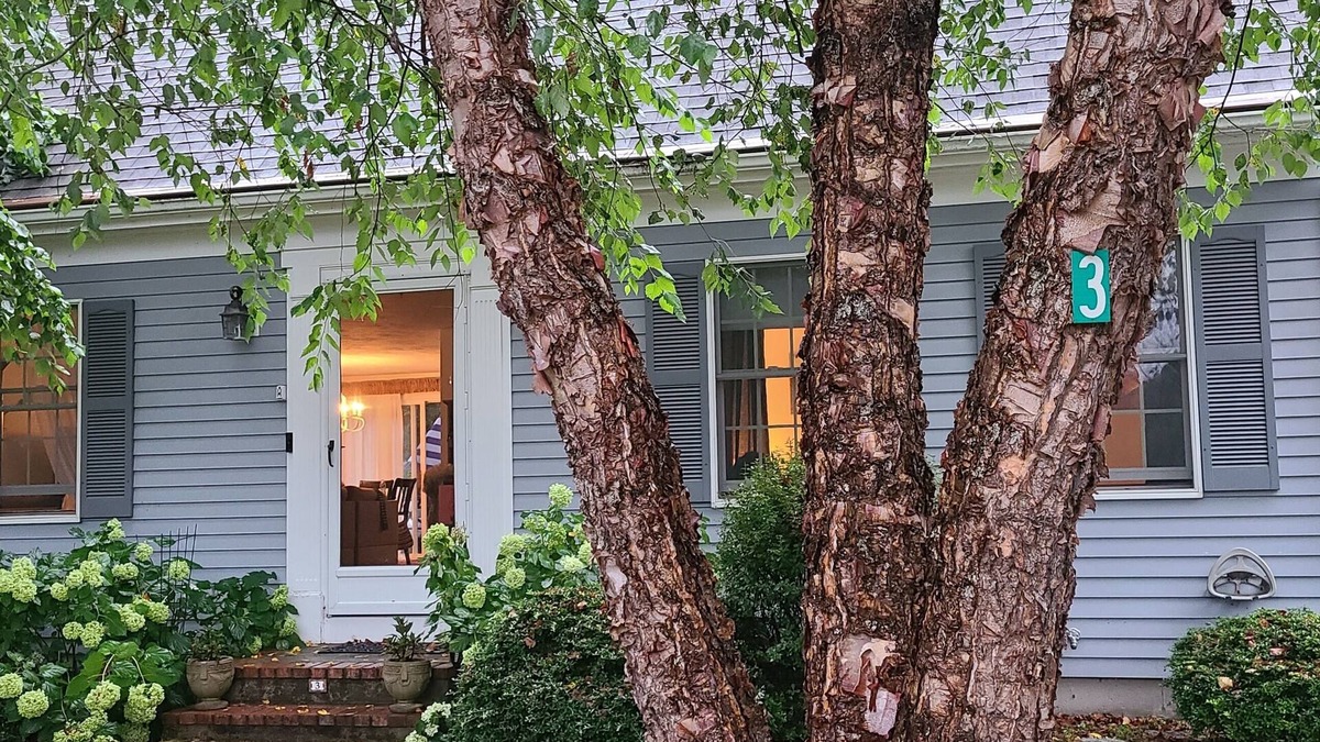 Truro House | Your Classic Cape Awaits - with AC!