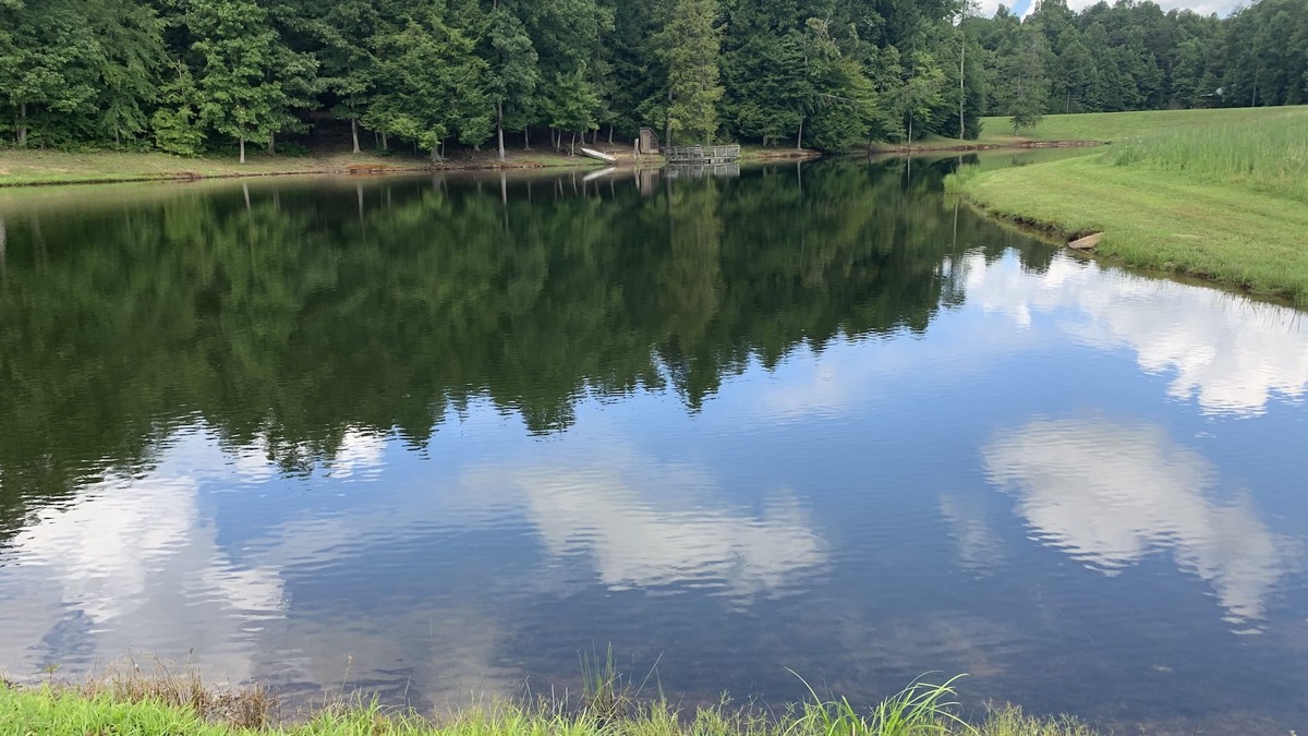 Muddy Pond Cabin | Your Own Private Lake ~ Secluded Cabin In The Woods ~ Romantic Retreat!