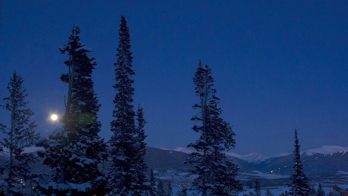 Wildernest Condo | YOUR PERFECT MOUNTAIN GETAWAY ANY TIME OF YEAR! GREAT LOCATION & VIEWS.