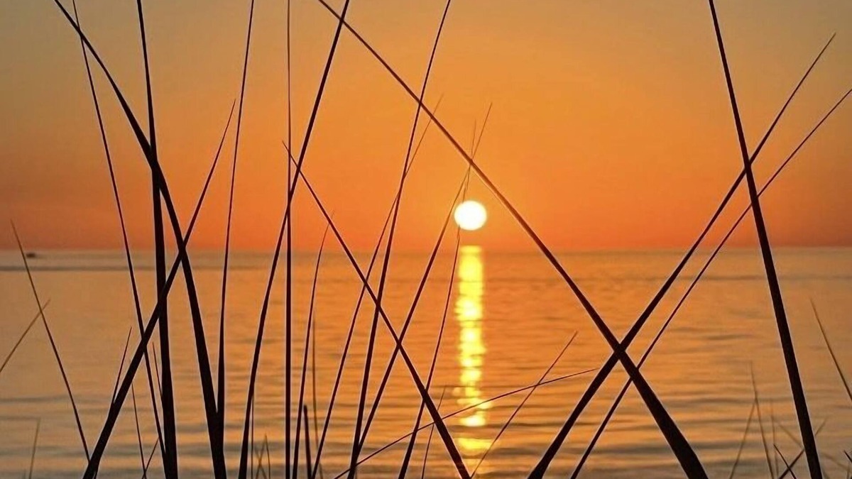 Port Sheldon Cottage | Your private beach on Lake Michigan . book N O W! 6Night just opened Jul 6-12