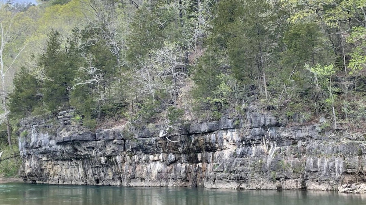 Teresita House | Your Relaxing Getaway Awaits! Pet-Friendly Cabins, Free Parking