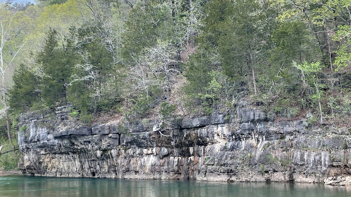 Teresita House | Your Relaxing Getaway Awaits! Pet-Friendly Cabins, Free Parking