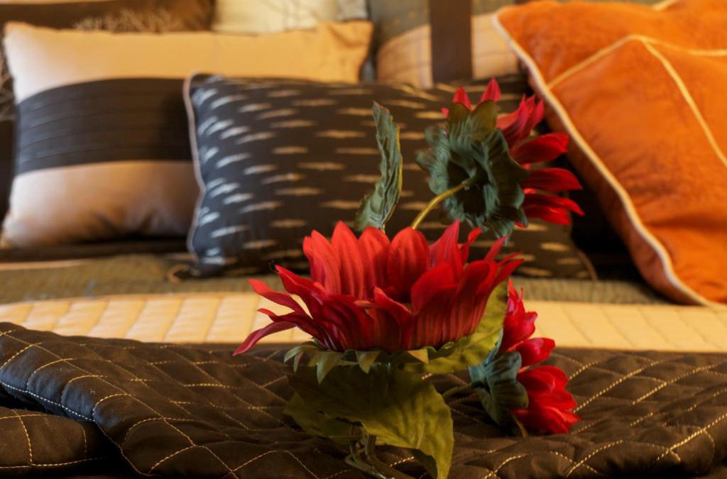 East Kootenay Apartment | YPC Fitness & Accomodations