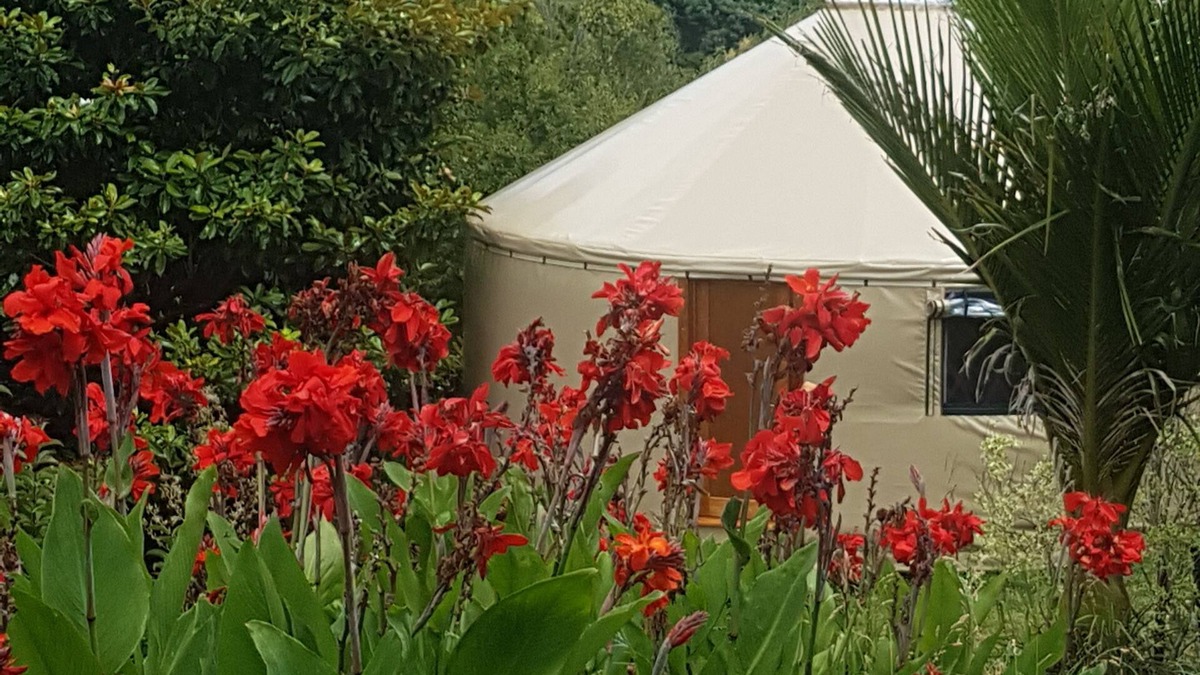 Thames House | Yurt in Thames