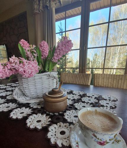 gmina Olsztyn Villa | Zacisze Jurajskie