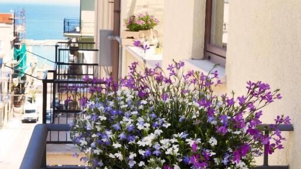 Castellammare del Golfo Bed & Breakfast | zammu bed and breakfast